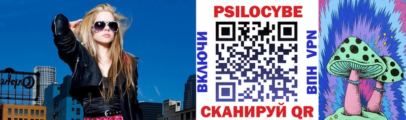 darknet телеграм  Ивантеевка  Псилоцибиновые грибы Cubensis  ОМГ ОМГ ССЫЛКА 