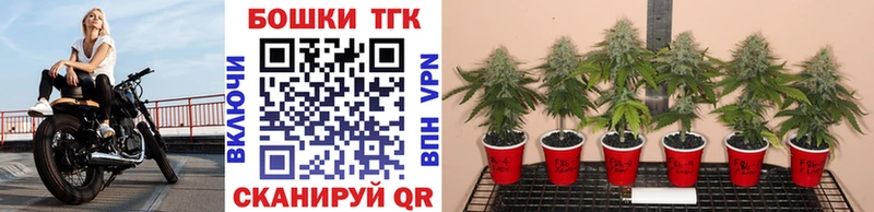 купить наркоту  Ивантеевка  Каннабис Ganja 